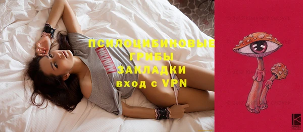 прущие грибы Арсеньев