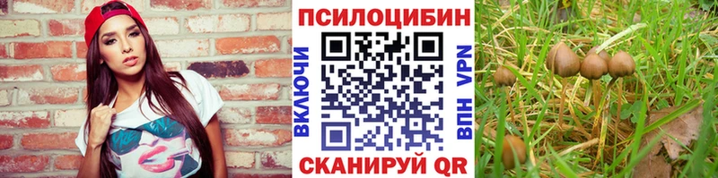 Псилоцибиновые грибы мухоморы  где купить наркотик  Удомля 
